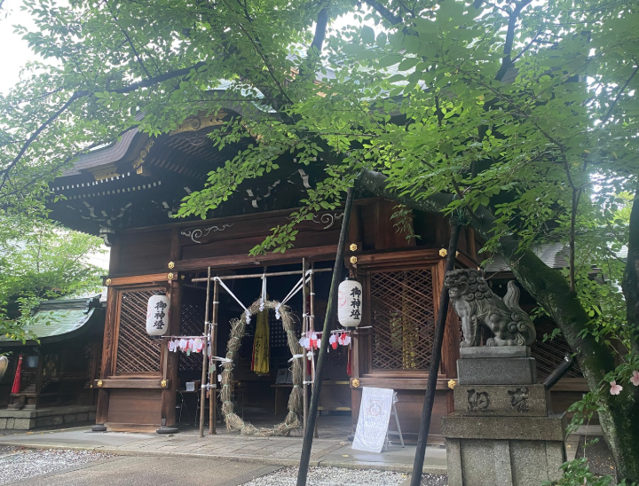天孫神社の茅の輪くぐり